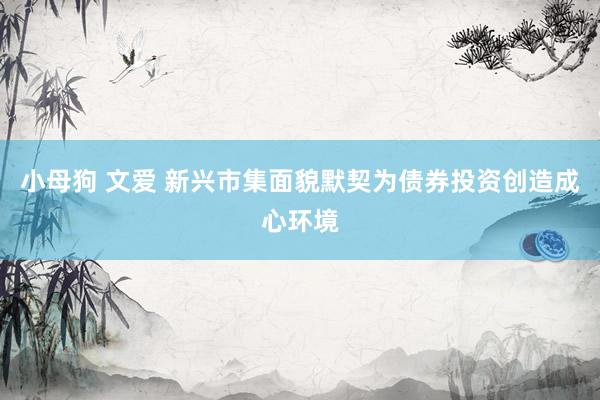 小母狗 文爱 新兴市集面貌默契为债券投资创造成心环境