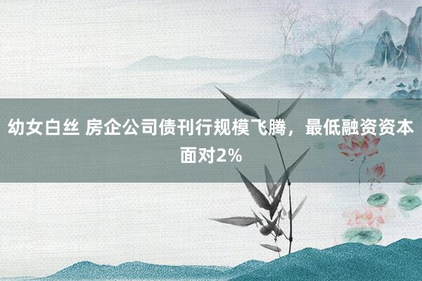 幼女白丝 房企公司债刊行规模飞腾，最低融资资本面对2%