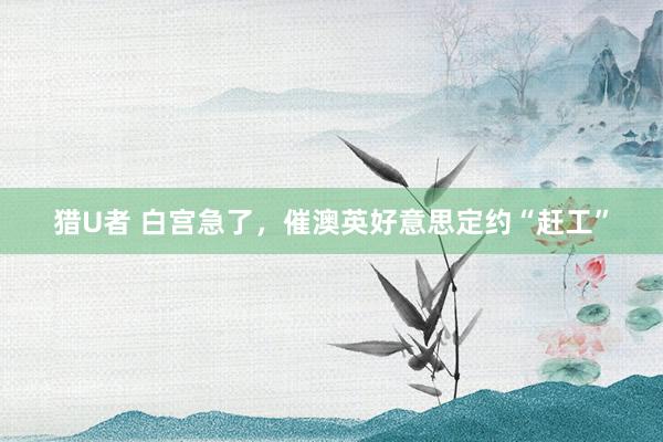 猎U者 白宫急了，催澳英好意思定约“赶工”