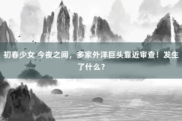 初春少女 今夜之间，多家外洋巨头靠近审查！发生了什么？