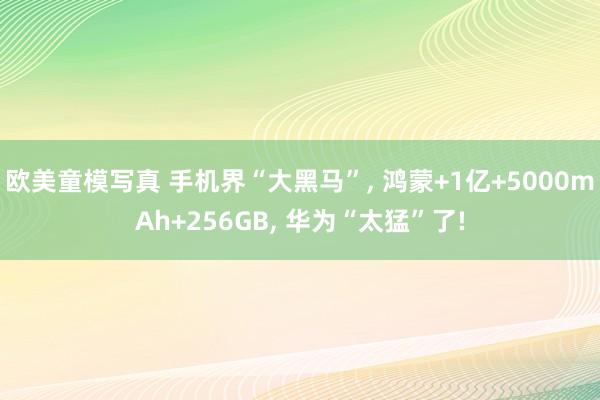 欧美童模写真 手机界“大黑马”， 鸿蒙+1亿+5000mAh+256GB， 华为“太猛”了!