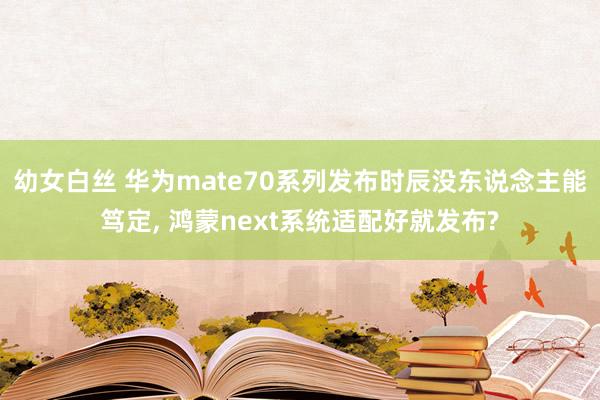 幼女白丝 华为mate70系列发布时辰没东说念主能笃定， 鸿蒙next系统适配好就发布?