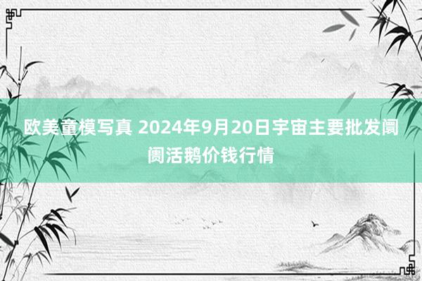 欧美童模写真 2024年9月20日宇宙主要批发阛阓活鹅价钱行情