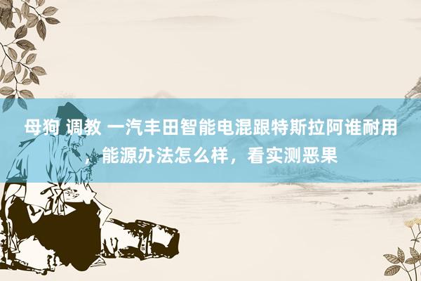 母狗 调教 一汽丰田智能电混跟特斯拉阿谁耐用，能源办法怎么样，看实测恶果