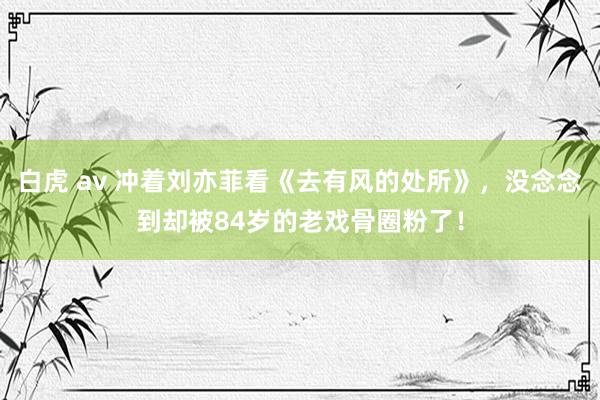 白虎 av 冲着刘亦菲看《去有风的处所》，没念念到却被84岁的老戏骨圈粉了！