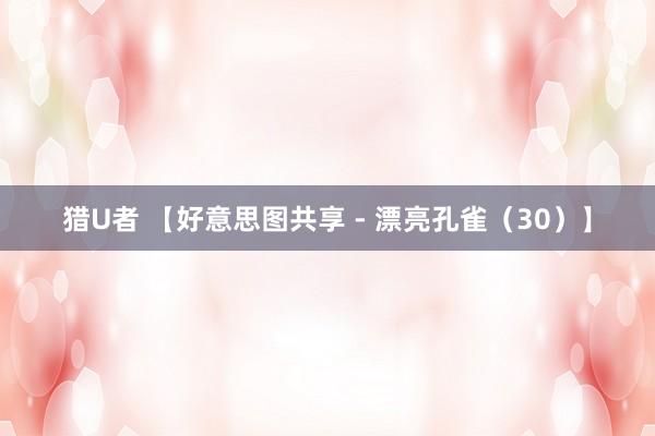 猎U者 【好意思图共享 - 漂亮孔雀（30）】