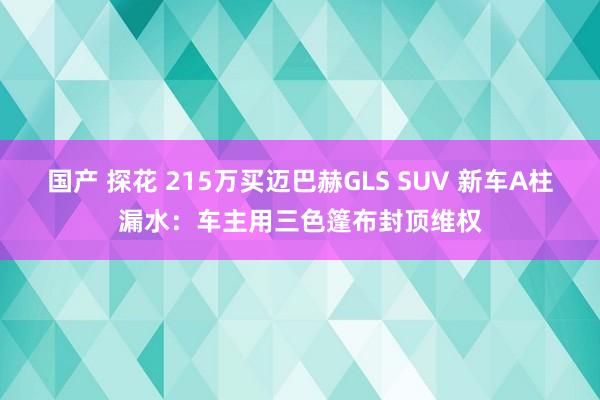 国产 探花 215万买迈巴赫GLS SUV 新车A柱漏水：车主用三色篷布封顶维权