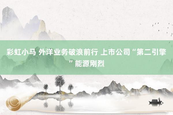 彩虹小马 外洋业务破浪前行 上市公司“第二引擎”能源刚烈