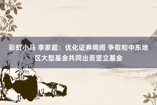 彩虹小马 李家超：优化证券阛阓 争取和中东地区大型基金共同出资竖立基金