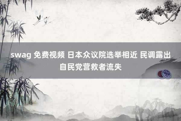 swag 免费视频 日本众议院选举相近 民调露出自民党营救者流失