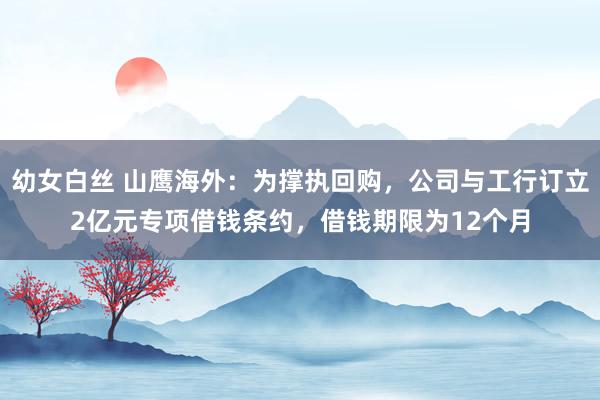 幼女白丝 山鹰海外：为撑执回购，公司与工行订立2亿元专项借钱条约，借钱期限为12个月