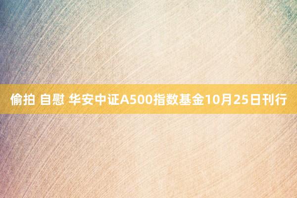 偷拍 自慰 华安中证A500指数基金10月25日刊行