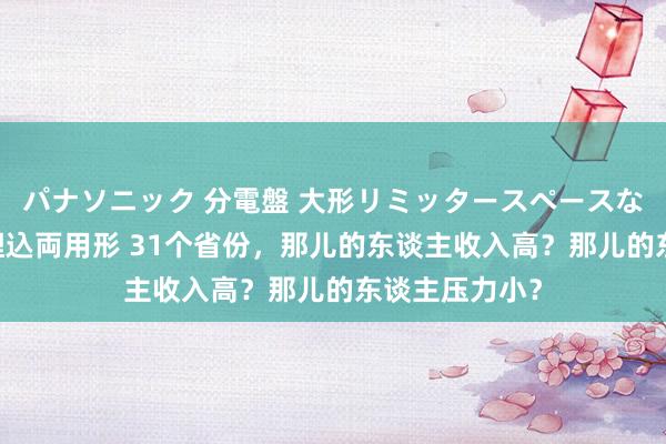 パナソニック 分電盤 大形リミッタースペースなし 露出・半埋込両用形 31个省份，那儿的东谈主收入高？那儿的东谈主压力小？