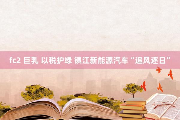 fc2 巨乳 以税护绿 镇江新能源汽车“追风逐日”