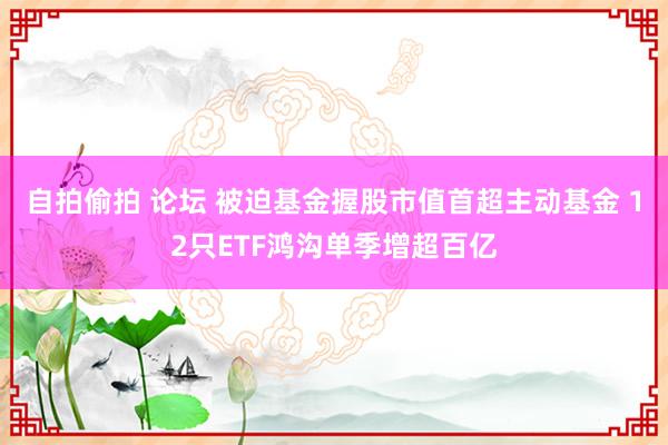 自拍偷拍 论坛 被迫基金握股市值首超主动基金 12只ETF鸿沟单季增超百亿