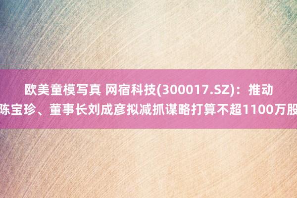 欧美童模写真 网宿科技(300017.SZ)：推动陈宝珍、董事长刘成彦拟减抓谋略打算不超1100万股