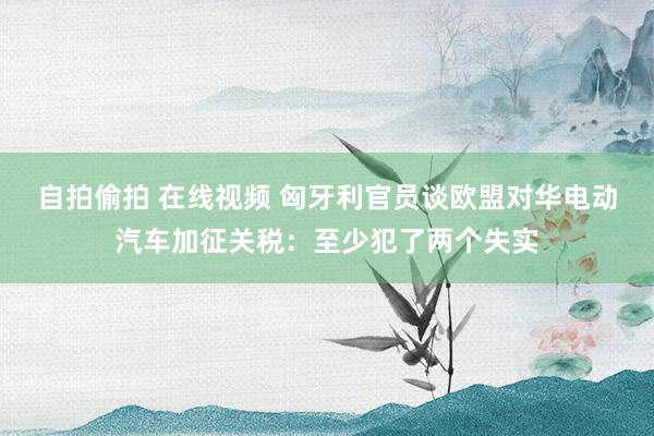 自拍偷拍 在线视频 匈牙利官员谈欧盟对华电动汽车加征关税：至少犯了两个失实