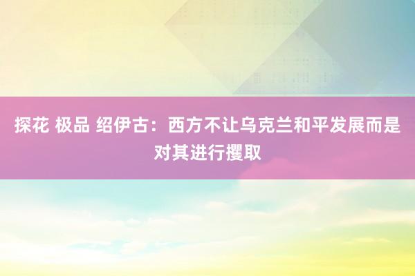 探花 极品 绍伊古：西方不让乌克兰和平发展而是对其进行攫取