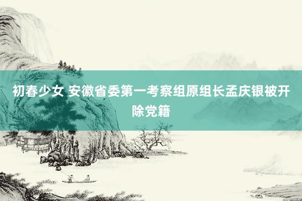 初春少女 安徽省委第一考察组原组长孟庆银被开除党籍