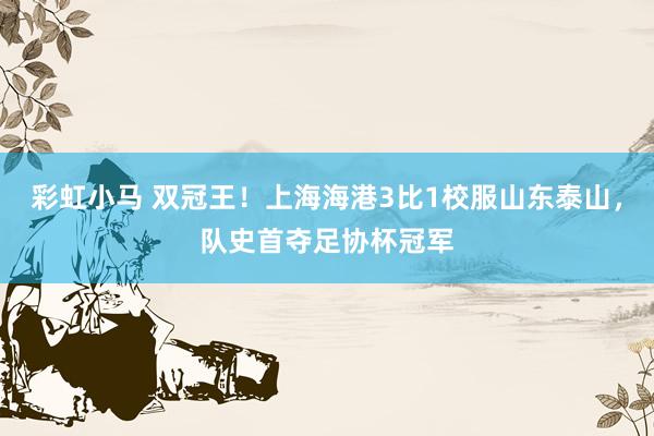 彩虹小马 双冠王！上海海港3比1校服山东泰山，队史首夺足协杯冠军