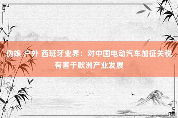 伪娘 户外 西班牙业界：对中国电动汽车加征关税有害于欧洲产业发展