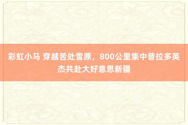 彩虹小马 穿越苦处雪原，800公里集中普拉多英杰共赴大好意思新疆