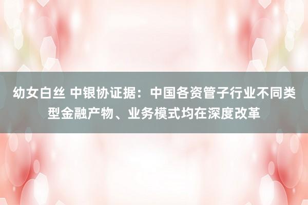 幼女白丝 中银协证据：中国各资管子行业不同类型金融产物、业务模式均在深度改革