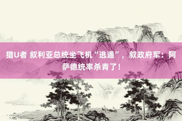 猎U者 叙利亚总统坐飞机“逃遁”，叙政府军：阿萨德统率杀青了！