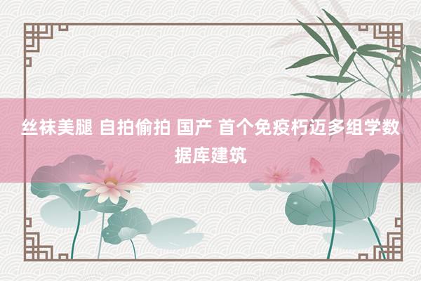 丝袜美腿 自拍偷拍 国产 首个免疫朽迈多组学数据库建筑