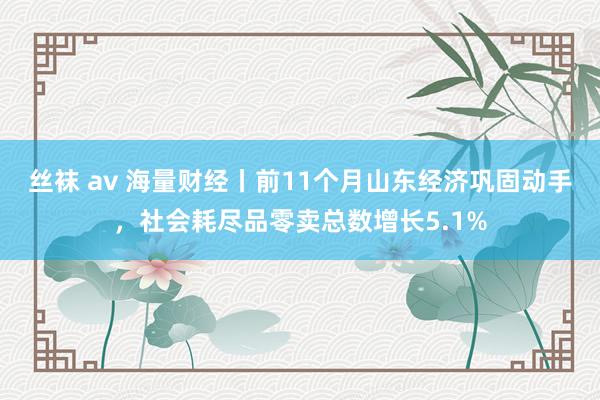 丝袜 av 海量财经丨前11个月山东经济巩固动手，社会耗尽品零卖总数增长5.1%