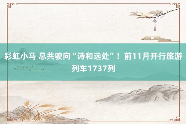 彩虹小马 总共驶向“诗和远处”！前11月开行旅游列车1737列