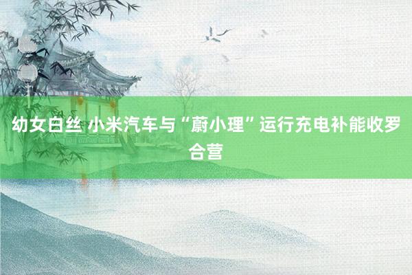 幼女白丝 小米汽车与“蔚小理”运行充电补能收罗合营