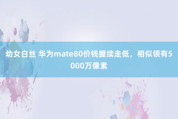 幼女白丝 华为mate80价钱握续走低，相似领有5000万像素