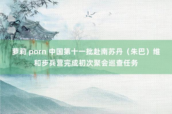 萝莉 porn 中国第十一批赴南苏丹（朱巴）维和步兵营完成初次聚会巡查任务