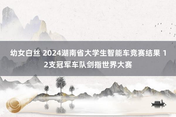 幼女白丝 2024湖南省大学生智能车竞赛结果 12支冠军车队剑指世界大赛