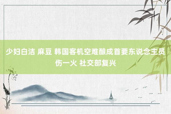 少妇白洁 麻豆 韩国客机空难酿成首要东说念主员伤一火 社交部复兴