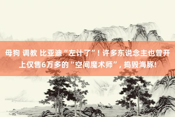 母狗 调教 比亚迪“左计了”! 许多东说念主也曾开上仅售6万多的“空间魔术师”， 捣毁海豚!