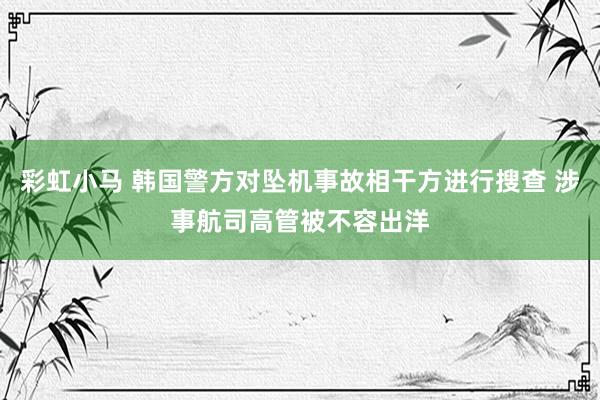 彩虹小马 韩国警方对坠机事故相干方进行搜查 涉事航司高管被不容出洋