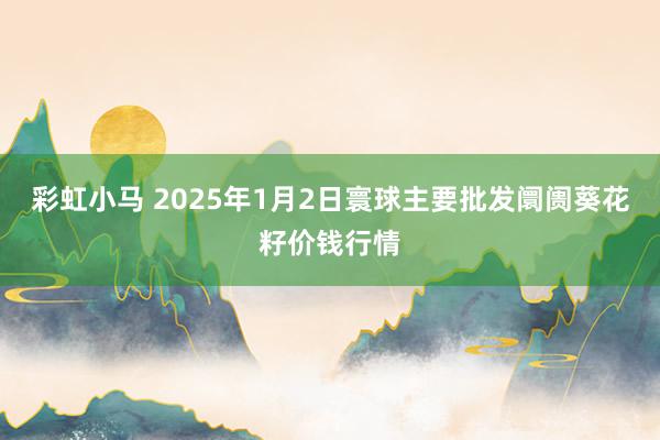 彩虹小马 2025年1月2日寰球主要批发阛阓葵花籽价钱行情