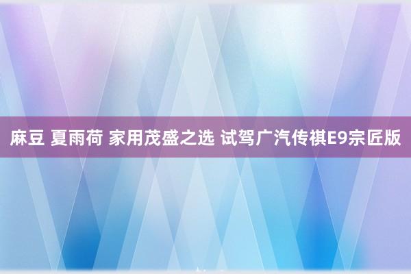 麻豆 夏雨荷 家用茂盛之选 试驾广汽传祺E9宗匠版