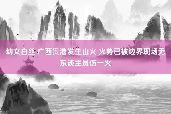 幼女白丝 广西贵港发生山火 火势已被边界现场无东谈主员伤一火