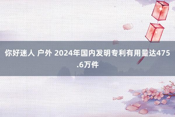 你好迷人 户外 2024年国内发明专利有用量达475.6万件