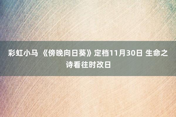 彩虹小马 《傍晚向日葵》定档11月30日 生命之诗看往时改日