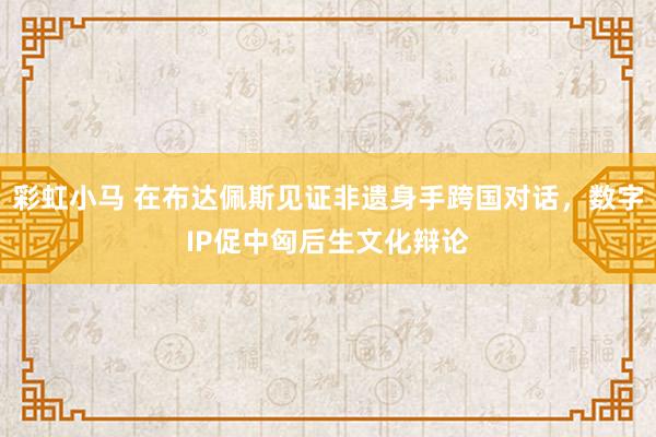 彩虹小马 在布达佩斯见证非遗身手跨国对话，数字IP促中匈后生文化辩论