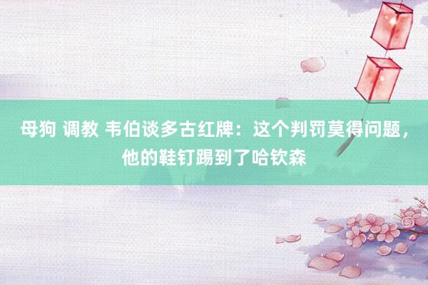 母狗 调教 韦伯谈多古红牌：这个判罚莫得问题，他的鞋钉踢到了哈钦森
