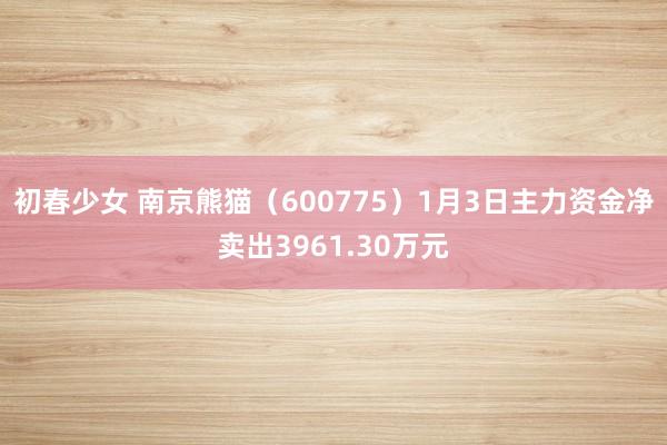 初春少女 南京熊猫（600775）1月3日主力资金净卖出3961.30万元