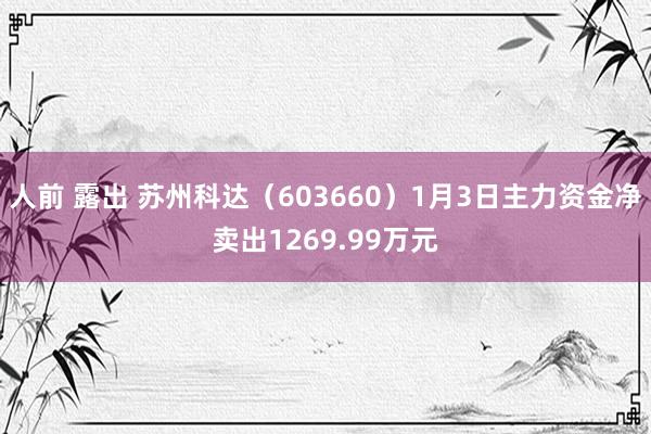 人前 露出 苏州科达（603660）1月3日主力资金净卖出1269.99万元