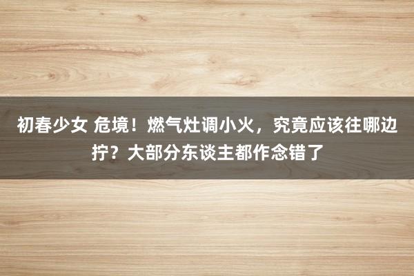 初春少女 危境！燃气灶调小火，究竟应该往哪边拧？大部分东谈主都作念错了
