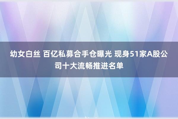幼女白丝 百亿私募合手仓曝光 现身51家A股公司十大流畅推进名单