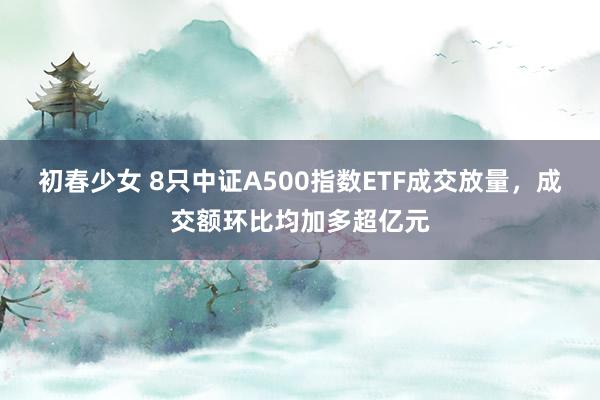 初春少女 8只中证A500指数ETF成交放量，成交额环比均加多超亿元
